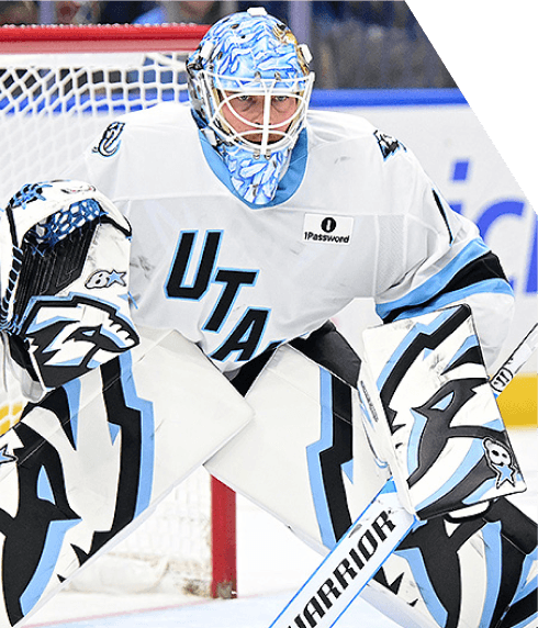 KAREL VEJMELKA player